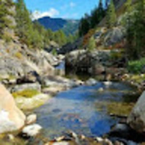 Meet your Posher, Greg